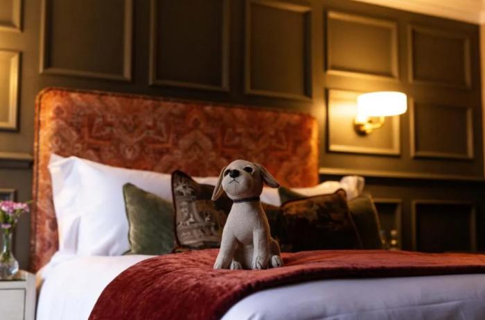 カートメル Aynsome Manor Bed & Breakfast 部屋 写真